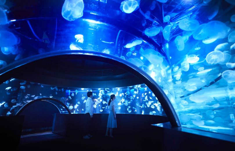 KYOTO AQUARIUM