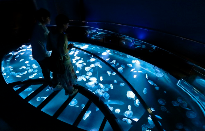 SUMIDA AQUARIUM