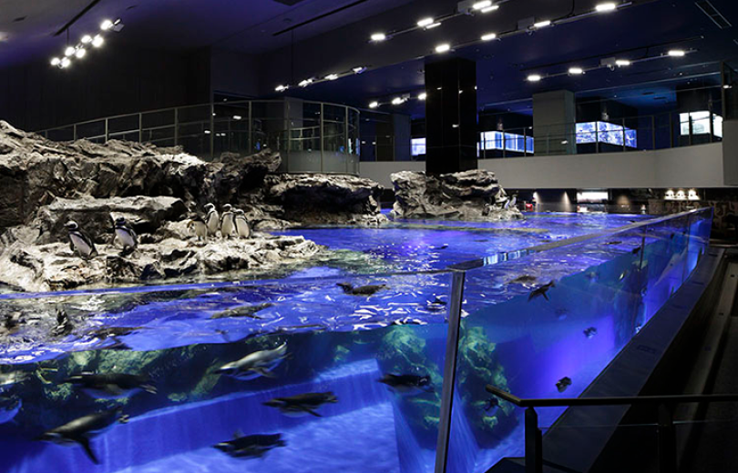 Penguin pool (SUMIDA AQUARIUM)