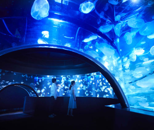 KYOTO AQUARIUM / SUMIDA AQUARIUM