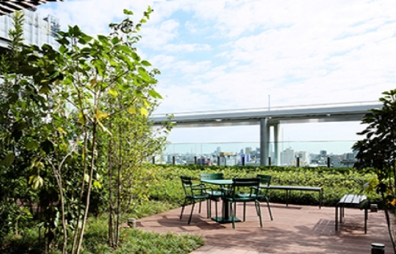 Rooftop garden and terrace