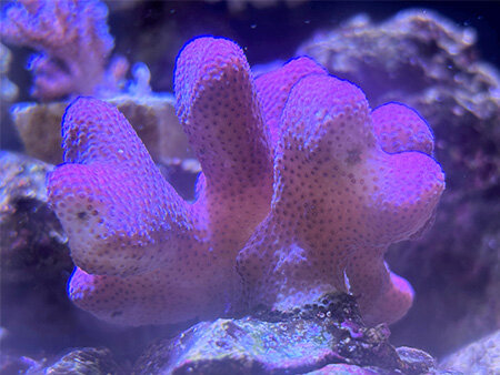 img_20251002_3.jpg