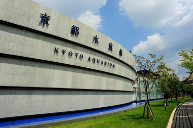 京都水族館「10周年Year」がスタート