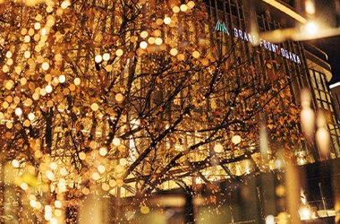 うめきたエリアがシャンパンゴールド色の輝きに包まれる「Champagne Gold Illumination in UMEKITA」開催期間：11月7日（木）~2025年2月28日（金）