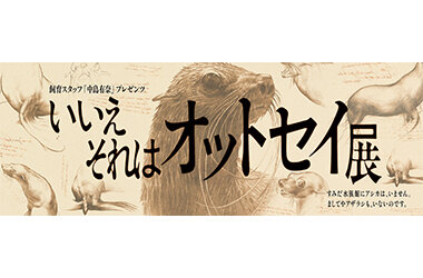 すみだ水族館にいるのはアシカ?アザラシ?「いいえそれはオットセイ展」開催
