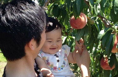 土用の日に桃?！採って食べて、浸かって、桃づくし！7月土用の日限定の「桃の葉湯」を開催