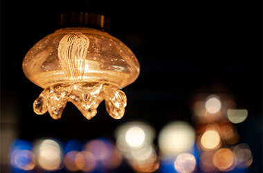 京都水族館の冬の風物詩でほっこり温まる「くらげのあかりたち」11月29日（土）から開催