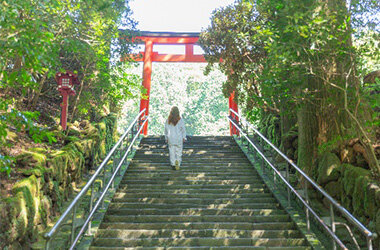 自身のペースで芦ノ湖畔を散策しながら箱根三社参り湖畔を歩き、心を整え、三社の加護を授かる参拝旅行