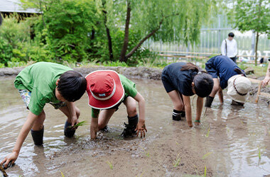 年間パスポート会員限定の特別プログラム「里山教室 稲作部～やってみよう!お米づくり～」を開催